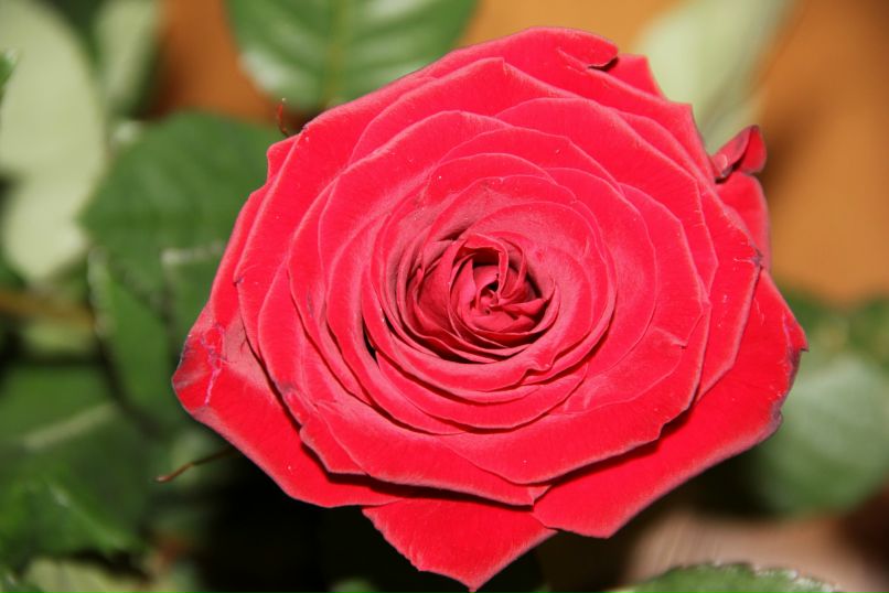 Павел Приступа | Владивосток