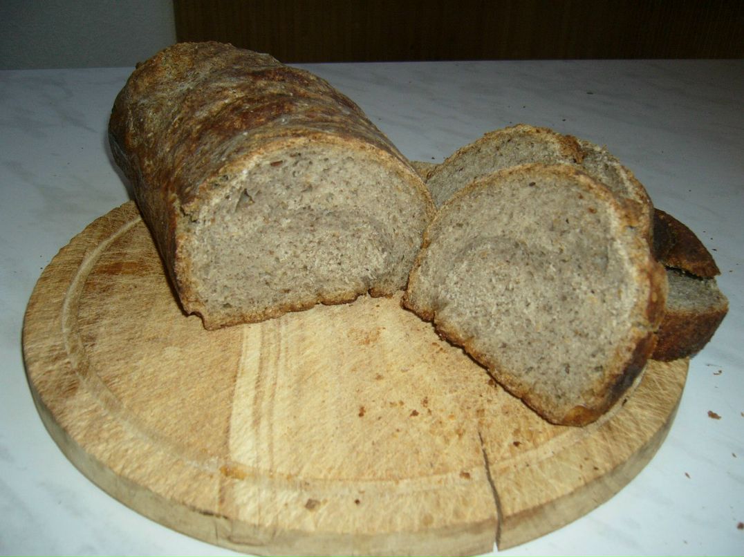 Екатерина Панова | Санкт-Петербург