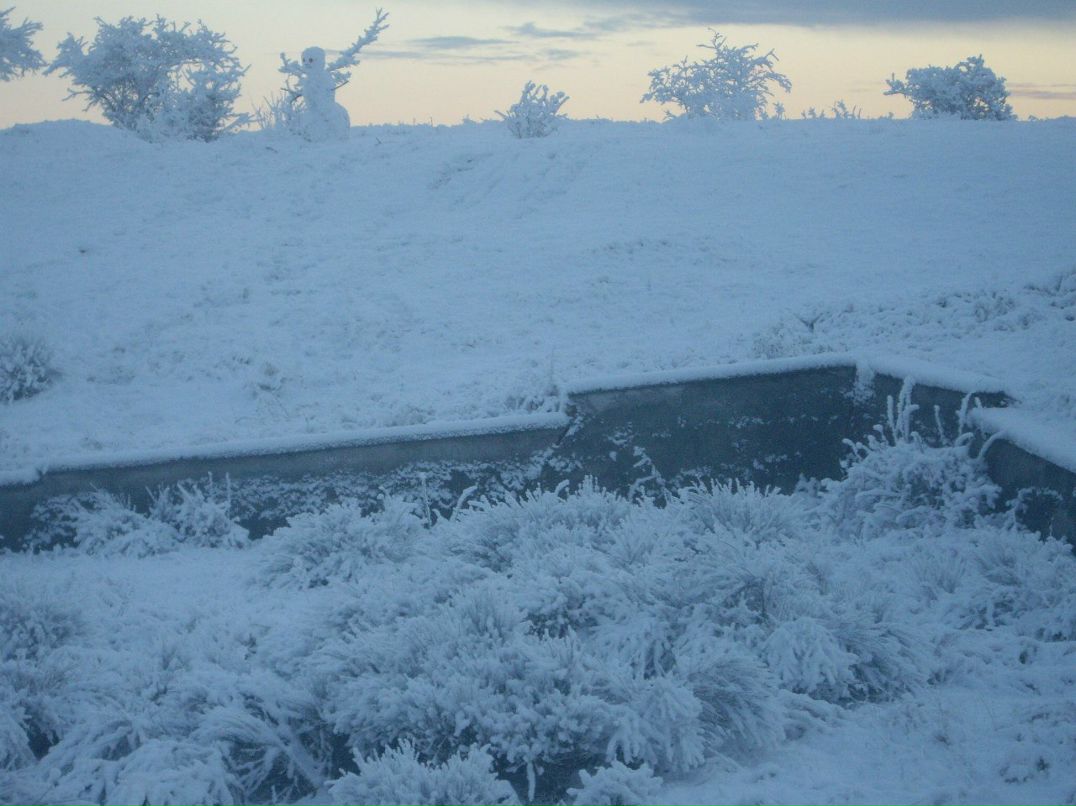 Дмитрий Павленко | Севастополь