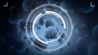 Immunocal ma protine de vie