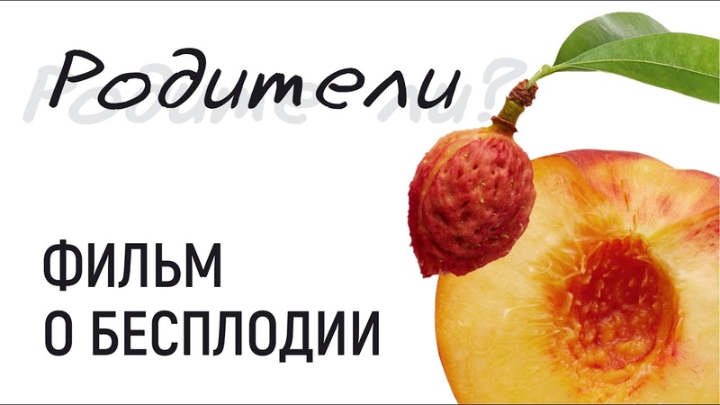 фильм бомба о бесплодии: РОДИТЕ ЛИ, дорожная карта к