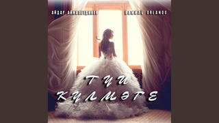 Туй Кулмэге