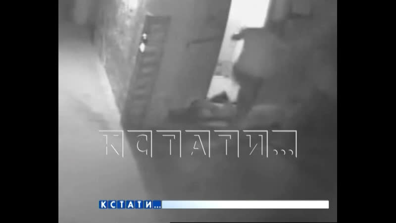 Против сотрудников полиции возбуждено уголовное дело за
