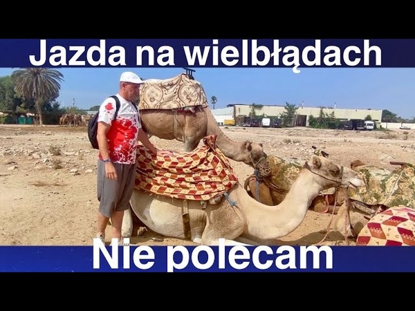 Jazda na Wielbłądach Nie Polecam ,