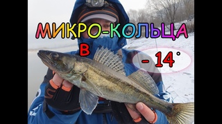 ЛОВЛЯ В МОРОЗ НА МИКРО-КОЛЬЦА ! Зимняя рыбалка ! Ультралайт !