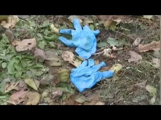 Жорстоке вбивство на Волині - 23-річний хлопець згвалтував та вбив пенсіонерку