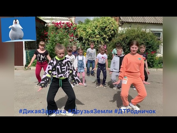 Дикая зарядка Дом Творчества Родничок г. Приморско