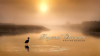 Beyond Dreams