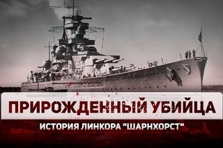 Прирожденный убийца