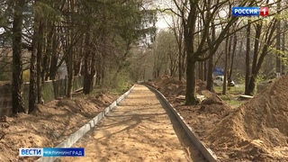 В Калининградской области продолжится строительство велодорожки в рамках проекта «От косы до косы»