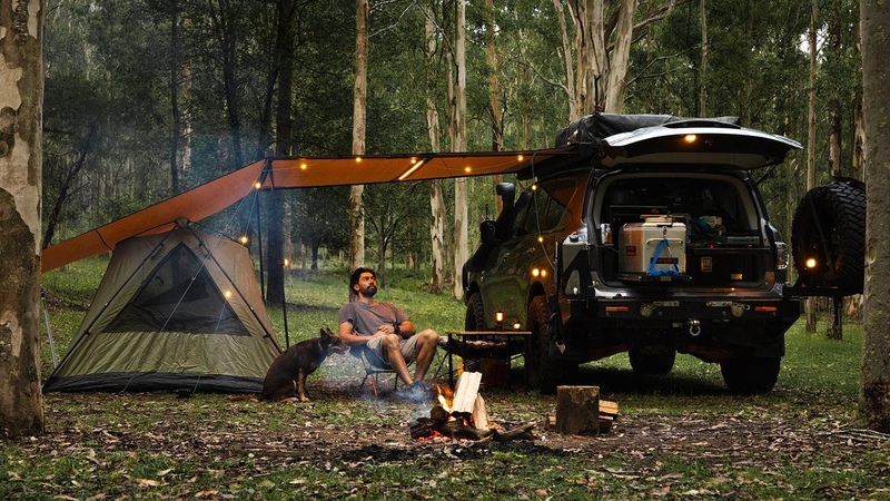 SOLO Camping with my Dog Nature ASMR, Relaxing Unwinding in our Cozy Awning
