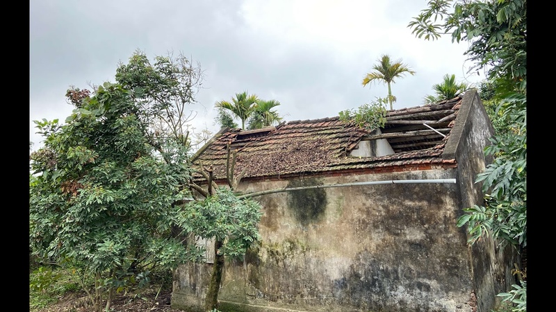 Its amazing how we clean up the ruined house+50 years, cut the grass and clean up the
