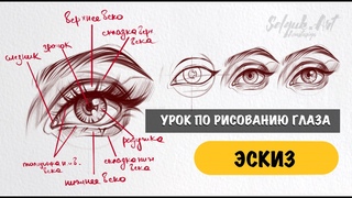 👀Рисуем глаз с нуля. Строение (ЭСКИЗ)