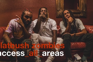 Flatbush Zombies - AAA