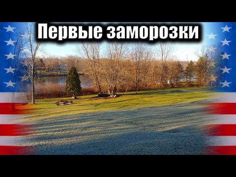 Репортаж из Мичиганской деревни. Первые