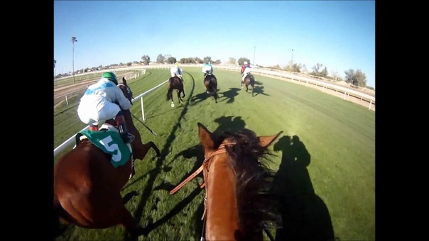 Jockey Cam: Turf Paradise Lets You Ride the Race in