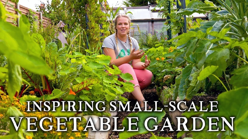 Massively Productive Small Scale Suburban Vegetable Garden, Backyard Self Sufficiency on a
