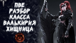 ПВЕ РАЗБОР И ГАЙД НА КЛАСС ВАЛЬКИРИЯ (ХИЩНИЦА) LOST ARK ONLINE  PVE GUIDE SLAYER