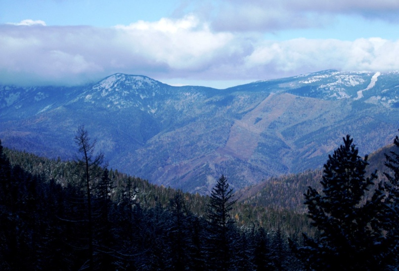 Алексей Касьянов | Москва