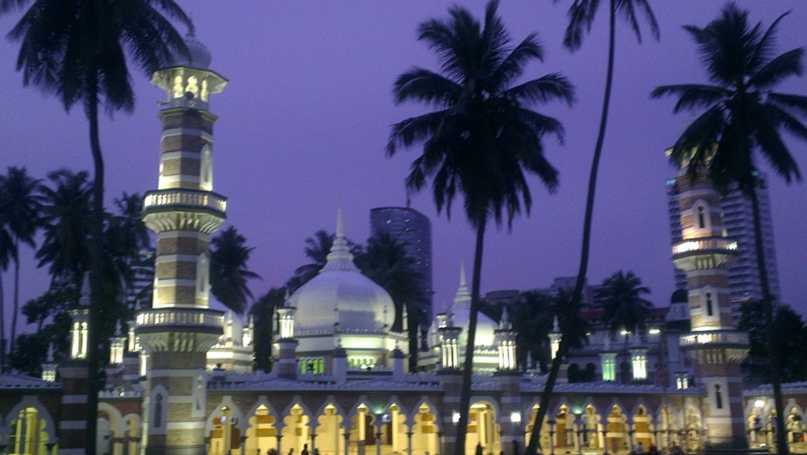 Виктория Ломоносова ~Глупый Вжик~ | Москва