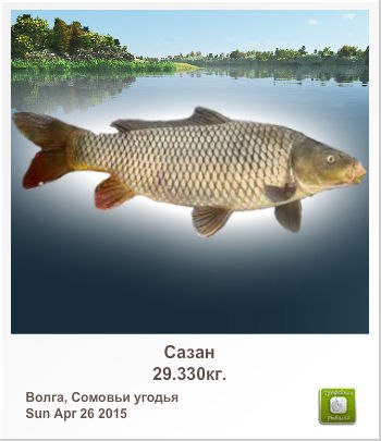 Виталий Баландин | Самара