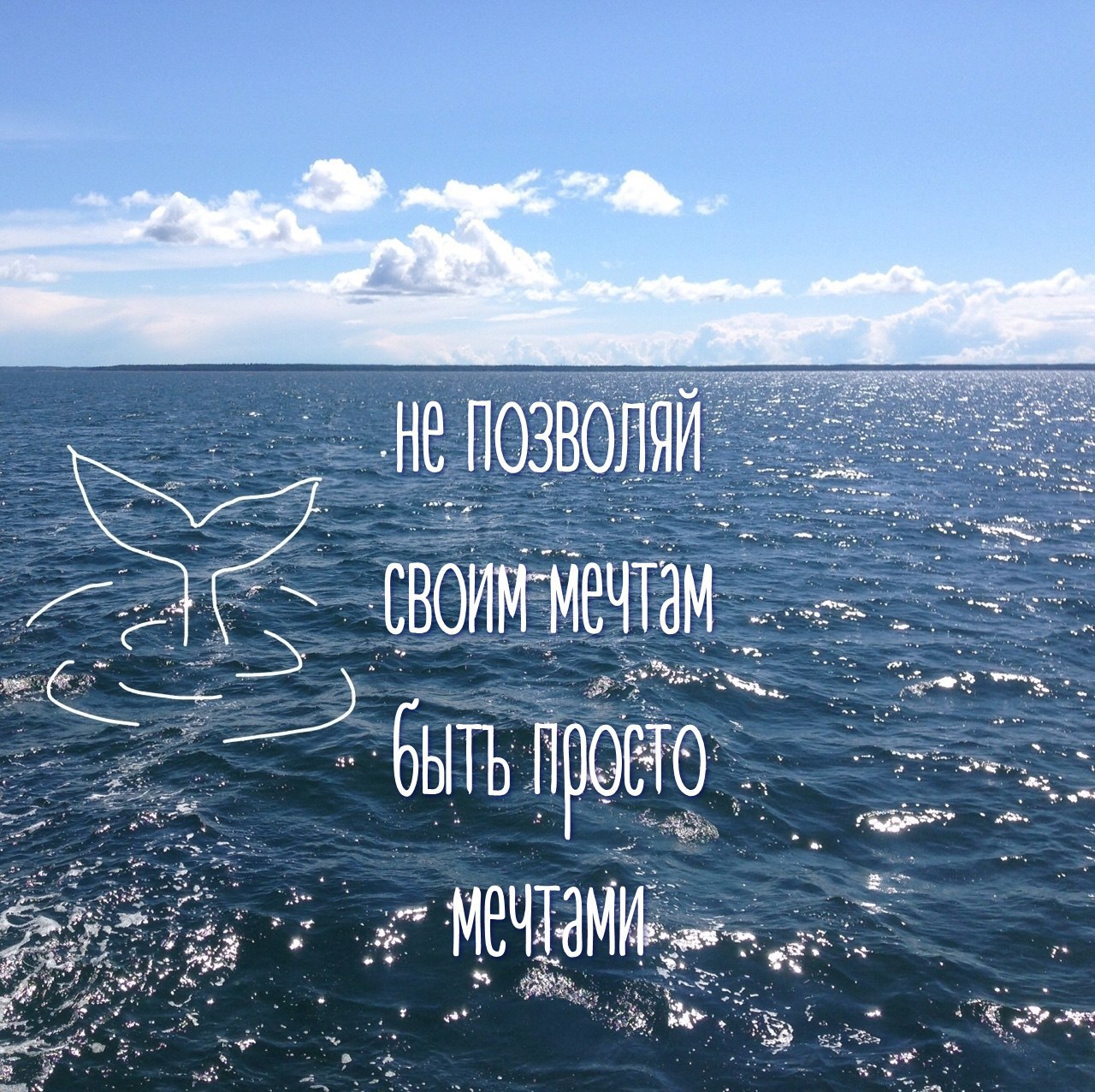 мечта и море