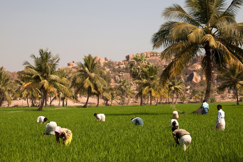 Олег Кузьминов | Москва
