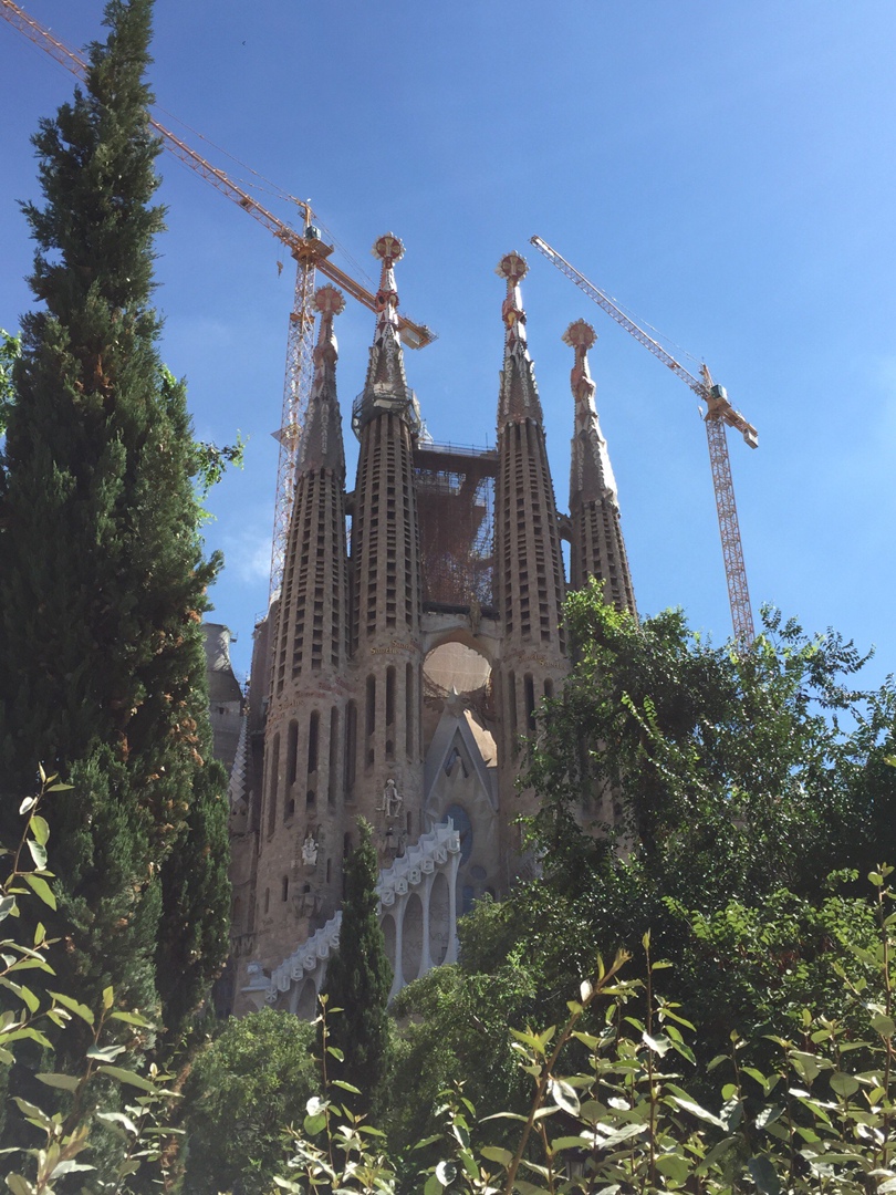 Екатерина Романова | Санкт-Петербург