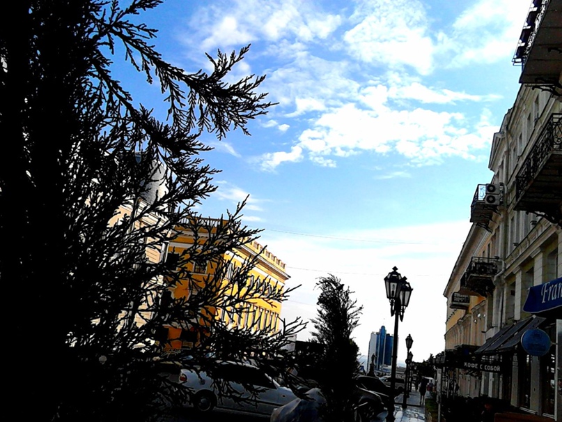 Надежда Бондарь | Одесса