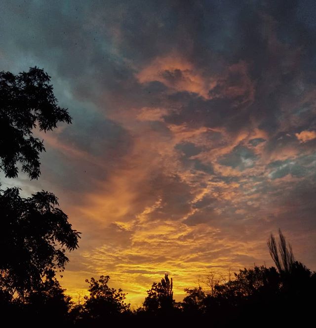 Ольга Кирилюк | Киев