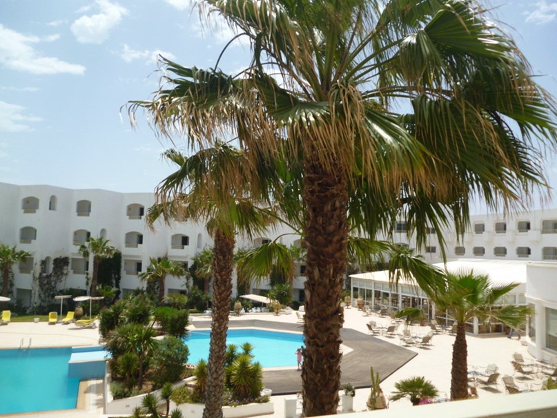 Дмитрий Борисов | Санкт-Петербург