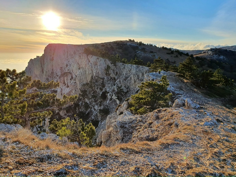 Джулия Аморетти |