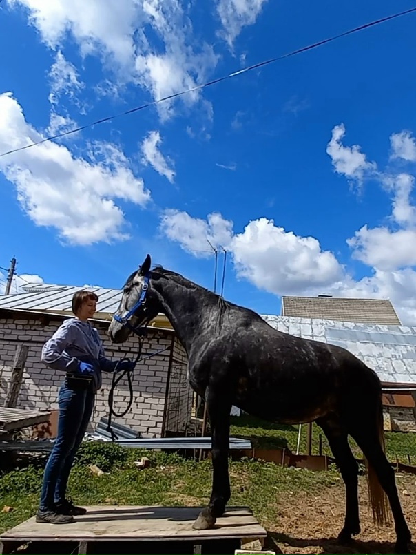 Алёна Беспалова | Дзержинск