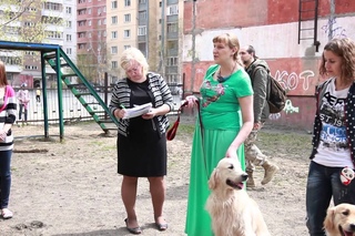 Наши лохматые друзья