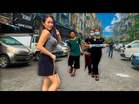 Burmese Beauty wants you to go 66 with