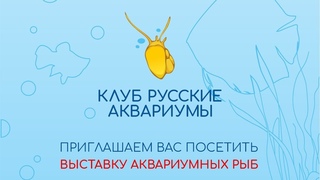 О Выставке. Продажа Рыбок, Участники, Интересности, Когда...