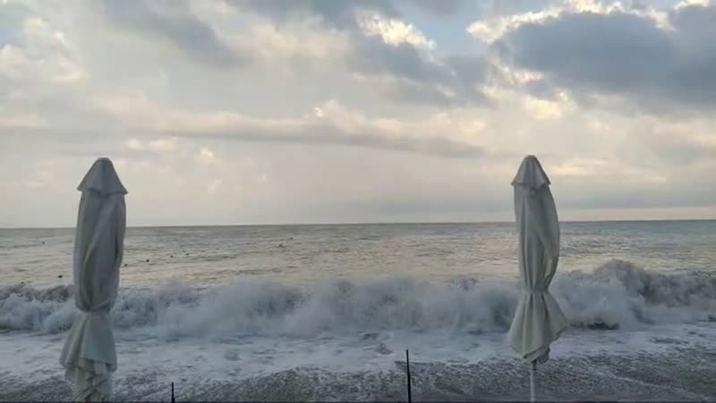 Лазаревское 2020 Шторм, , Lazarevskoe2020 Storm, Family