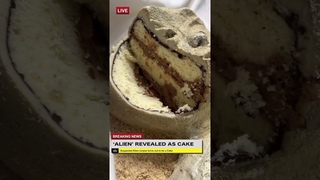 Newly Unveiled Alien Body Degenerates To Cake-like State