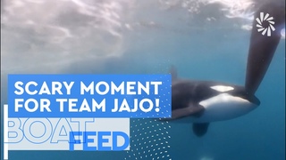 ORCA ENCOUNTER AT GIBRALTAR FOR TEAM JAJO | The Ocean Race