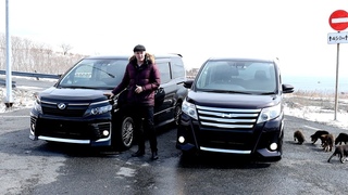 Жирные Toyota Noah Hybrid VS Voxy Hybrid.Лучший-гибридный минивэн?!Авто из Японии.