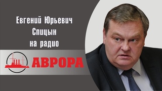 Сбитый летчик призывает к капитуляции.... Е.Ю.Спицын на радио Аврора в программе Прямой эфир