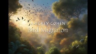 Bird Migration