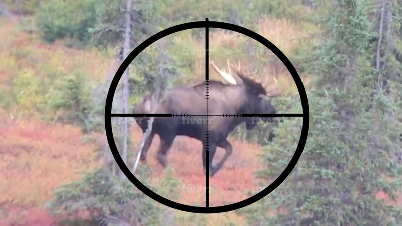 20 BEST SLOW MO HUNTING KILL SHOTS Stuck N The Rut