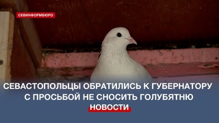 Не лишайте нас крыльев: севастопольцы просят не сносить голубятню на улице Степаняна