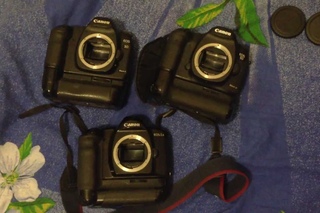 Сравнение скорости срабатывания затвора на Canon 5d mark II , canon 5d mark iii и canon eos 1n