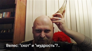 Велес: “скот“ и “мудрость“?..