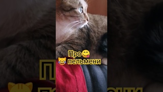 🥣😂🤣😹#юмор #котики #смешно  #озвучка #приколы