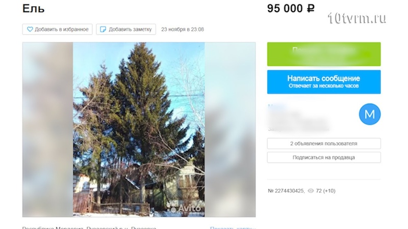 Новогодняя красавица, New year