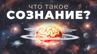 РЕАЛЬНОСТЬ ВСЕЛЕННОЙ | Наука и философия объясняет что такое Сознание | Человек и Космос