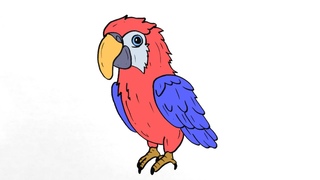 How to Draw CUTE PARROT